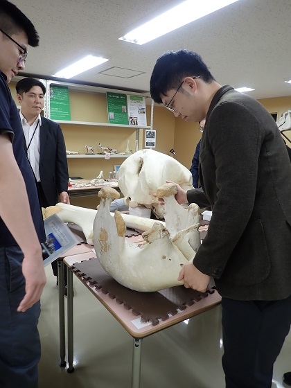 台湾の獣医師がいのちの博物館に来館