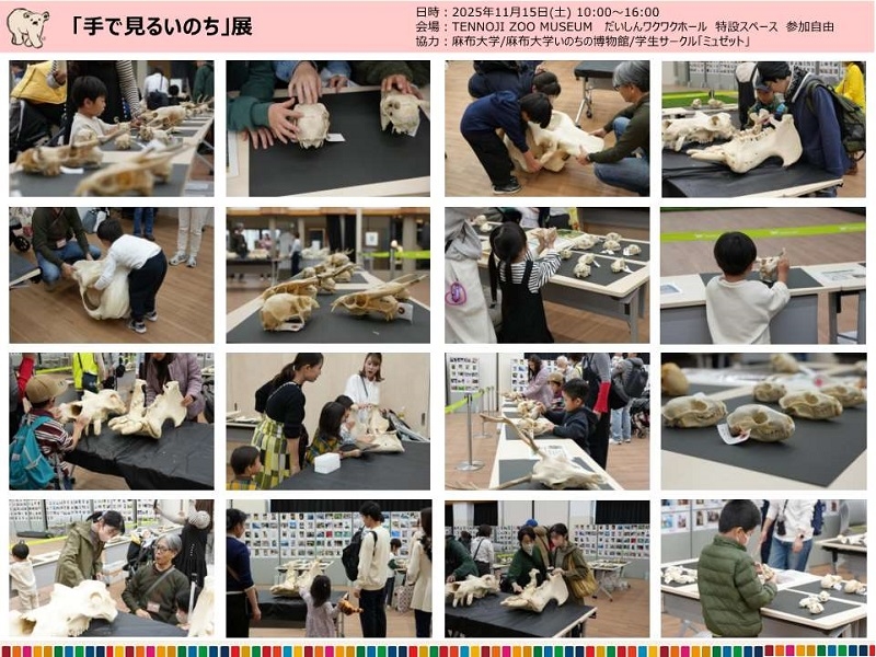 毎日新聞社主催「手で見るいのち」レポート