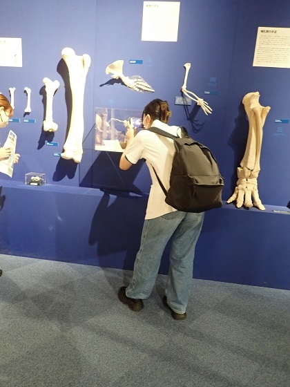 仙台ECO動物海洋専門学校の皆様がいのちの博物館に来館