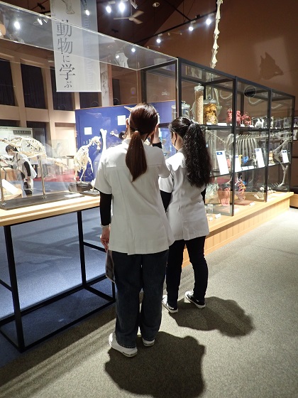 仙台ECO動物海洋専門学校の皆様がいのちの博物館に来館