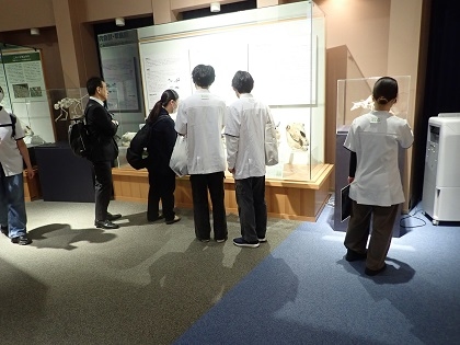 仙台ECO動物海洋専門学校の皆様がいのちの博物館に来館