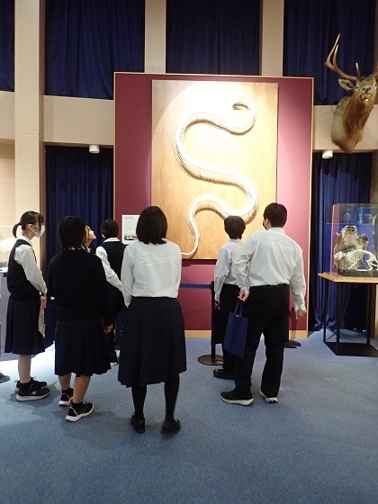 勢多農林高校がいのちの博物館を来館