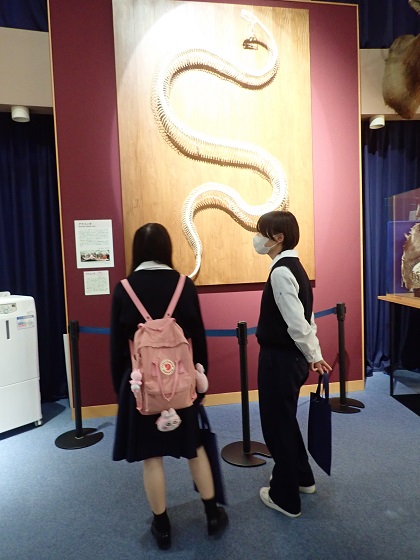 勢多農林高校がいのちの博物館を来館