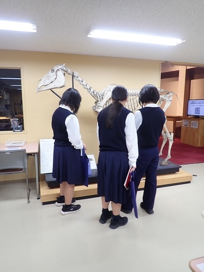 勢多農林高校がいのちの博物館を来館