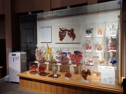 スルガ銀行サイクリング・プロジェクトの方がいのちの博物館に来館