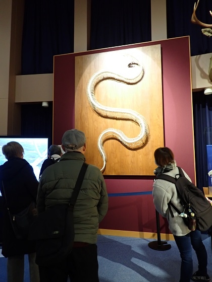 田名公民館がいのちの博物館に来館