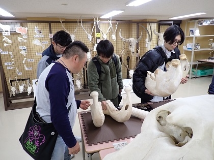 いのちの博物館で淡水がめ情報交換会