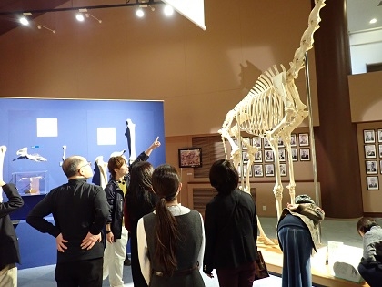 いのちの博物館で淡水がめ情報交換会