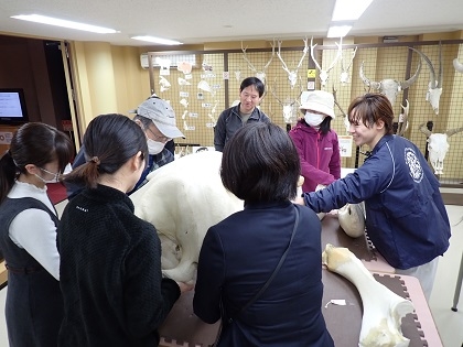 いのちの博物館で淡水がめ情報交換会