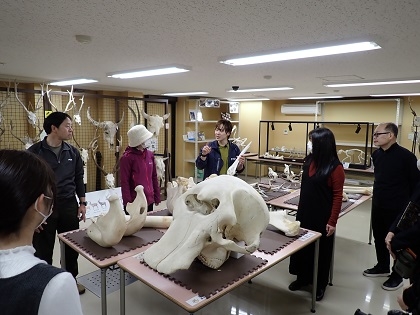 いのちの博物館で淡水がめ情報交換会