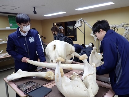 いのちの博物館で淡水がめ情報交換会