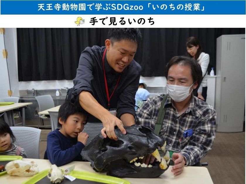 いのちの博物館が天王寺動物園に骨格標本を貸し出し