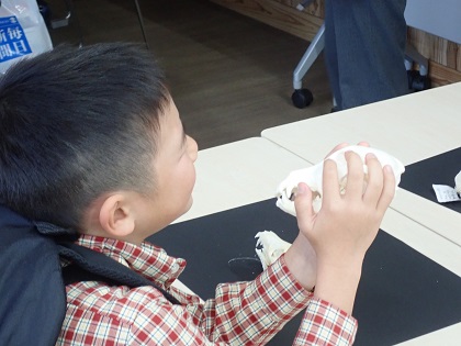 大阪・天王寺動物園イベント「手で見るいのち」