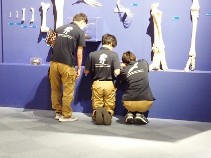 東京ECO動物海洋専門学校がいのちの博物館に来館