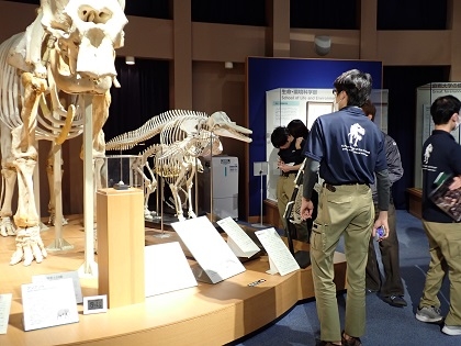東京ECO動物海洋専門学校がいのちの博物館に来館