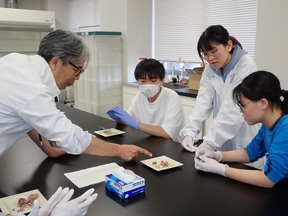 いのちの博物館だより