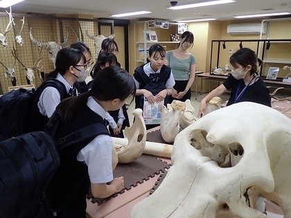 北豊島高等学校の1年生がご見学されました