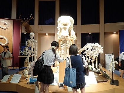 いのちの博物館だより