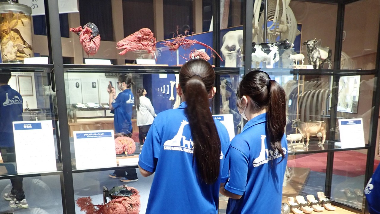 中央動物総合専門学校の皆様が来館されました