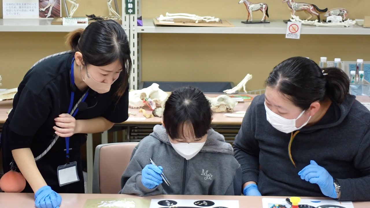 いのちの博物館だより