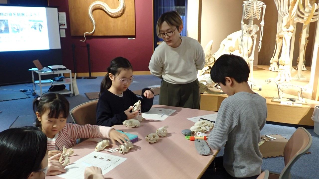 春休み子ども教室「むじなマスターになろう！」を開催しました