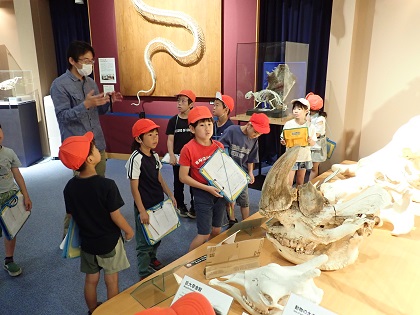 相模原市立根小屋小学校と湘南小学校3年生が来館