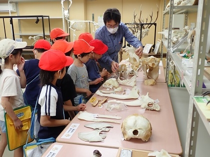 相模原市立根小屋小学校と湘南小学校3年生が来館