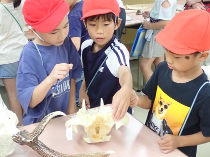 相模原市立根小屋小学校と湘南小学校3年生が来館