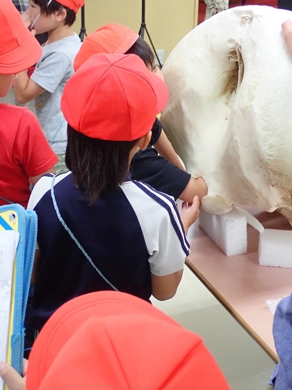 相模原市立根小屋小学校と湘南小学校3年生が来館