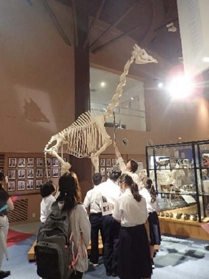 いのちの博物館に相陽中学の生徒さんが来館