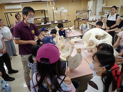 いのちの博物館夏休み子ども教室「動物たちの骨を学ぼう」