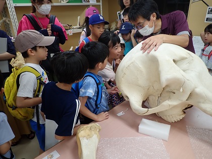 いのちの博物館夏休み子ども教室「動物たちの骨を学ぼう」