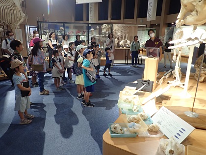 いのちの博物館 夏休み子ども教室「動物たちの骨を学ぼう！」