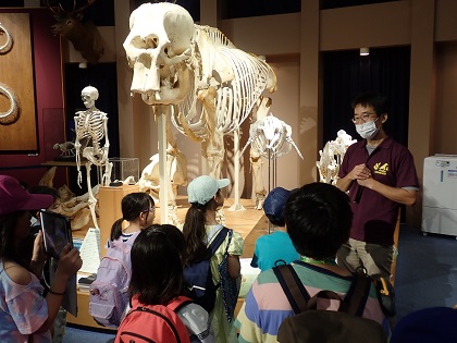 いのちの博物館 夏休み子ども教室「動物たちの骨を学ぼう！」