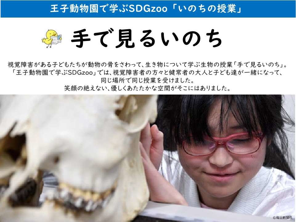 麻布大学いのちの博物館教材貸し出し