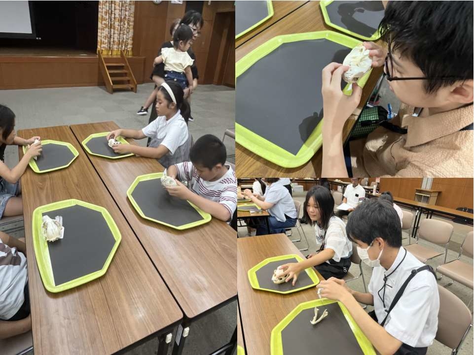 麻布大学いのちの博物館教材貸し出し