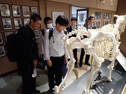 いのちの博物館に勢多農林高校が来館