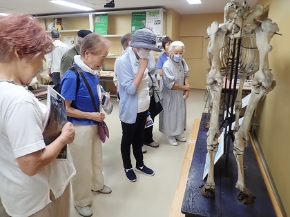 神奈川北央医療生活協同組合の方々がいのちの博物館に来館