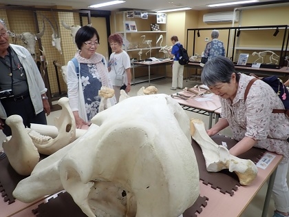 神奈川北央医療生活協同組合の方々がいのちの博物館に来館