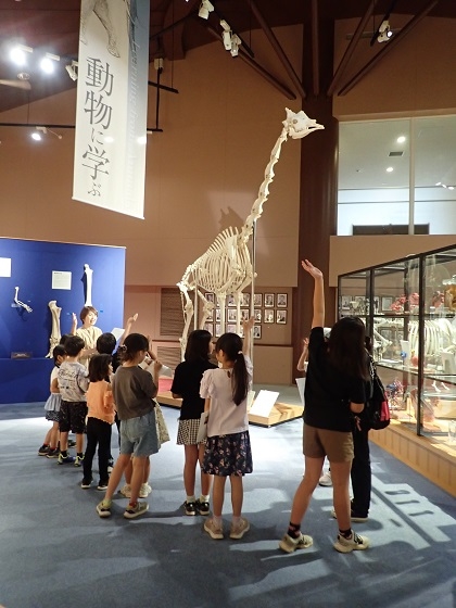 相模ひまわり幼稚園アフタースクールの皆様がいのちの博物館にご来館