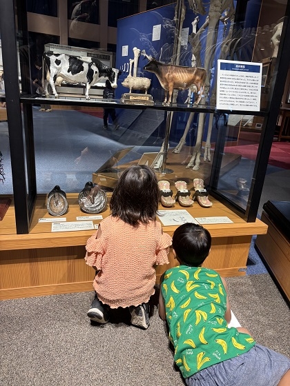 相模ひまわり幼稚園アフタースクールの皆様がいのちの博物館にご来館