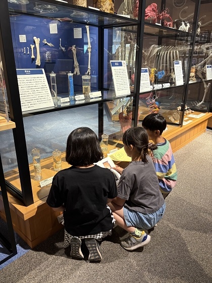 相模ひまわり幼稚園アフタースクールの皆様がいのちの博物館にご来館