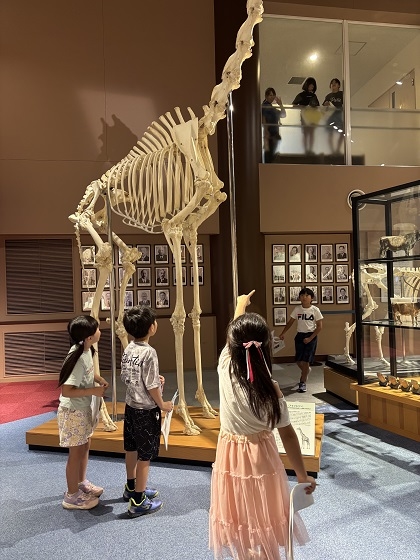 相模ひまわり幼稚園アフタースクールの皆様がいのちの博物館にご来館