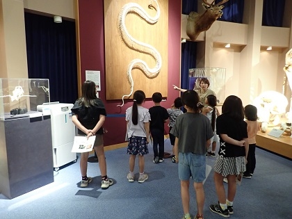 相模ひまわり幼稚園アフタースクールの皆様がいのちの博物館にご来館