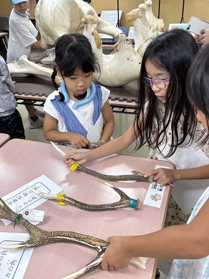 相模ひまわり幼稚園アフタースクールの皆様がいのちの博物館にご来館