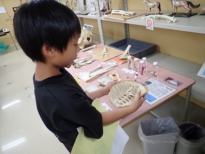 相模ひまわり幼稚園アフタースクールの皆様がいのちの博物館にご来館