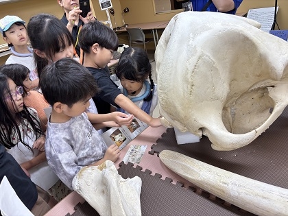 相模ひまわり幼稚園アフタースクールの皆様がいのちの博物館にご来館