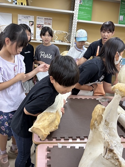 相模ひまわり幼稚園アフタースクールの皆様がいのちの博物館にご来館