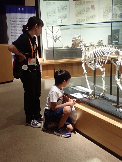 相模ひまわり幼稚園アフタースクールの皆様がいのちの博物館にご来館