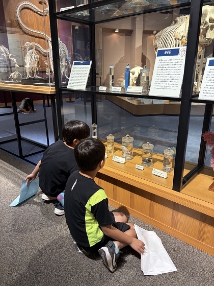相模ひまわり幼稚園アフタースクールの皆様がいのちの博物館にご来館